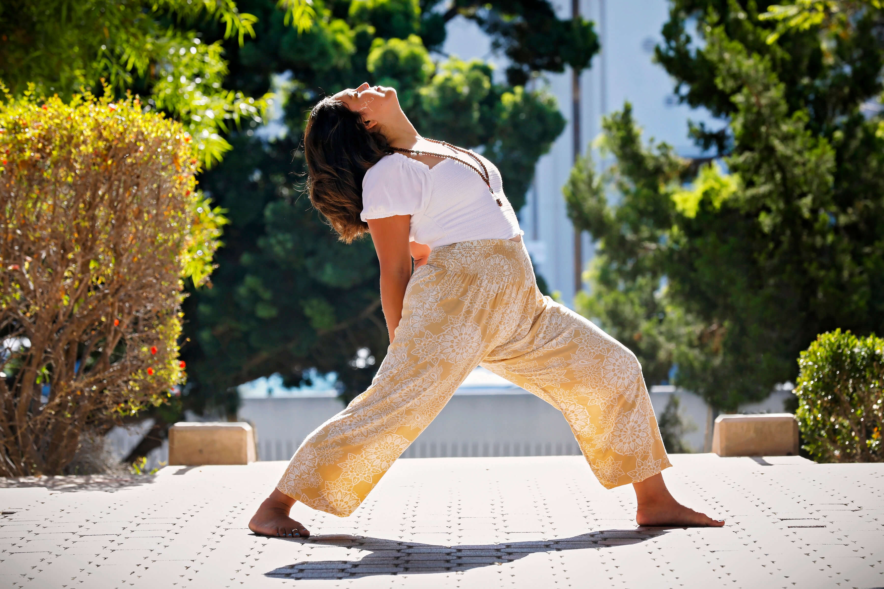 Yoga from laptop